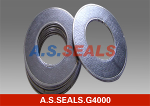 Pure graphite gasket