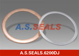 Double Jacketed gaskets