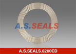 Corrugated Double Jacketed gasket