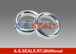 Ring joint gasket oval style